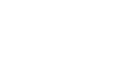 VYS